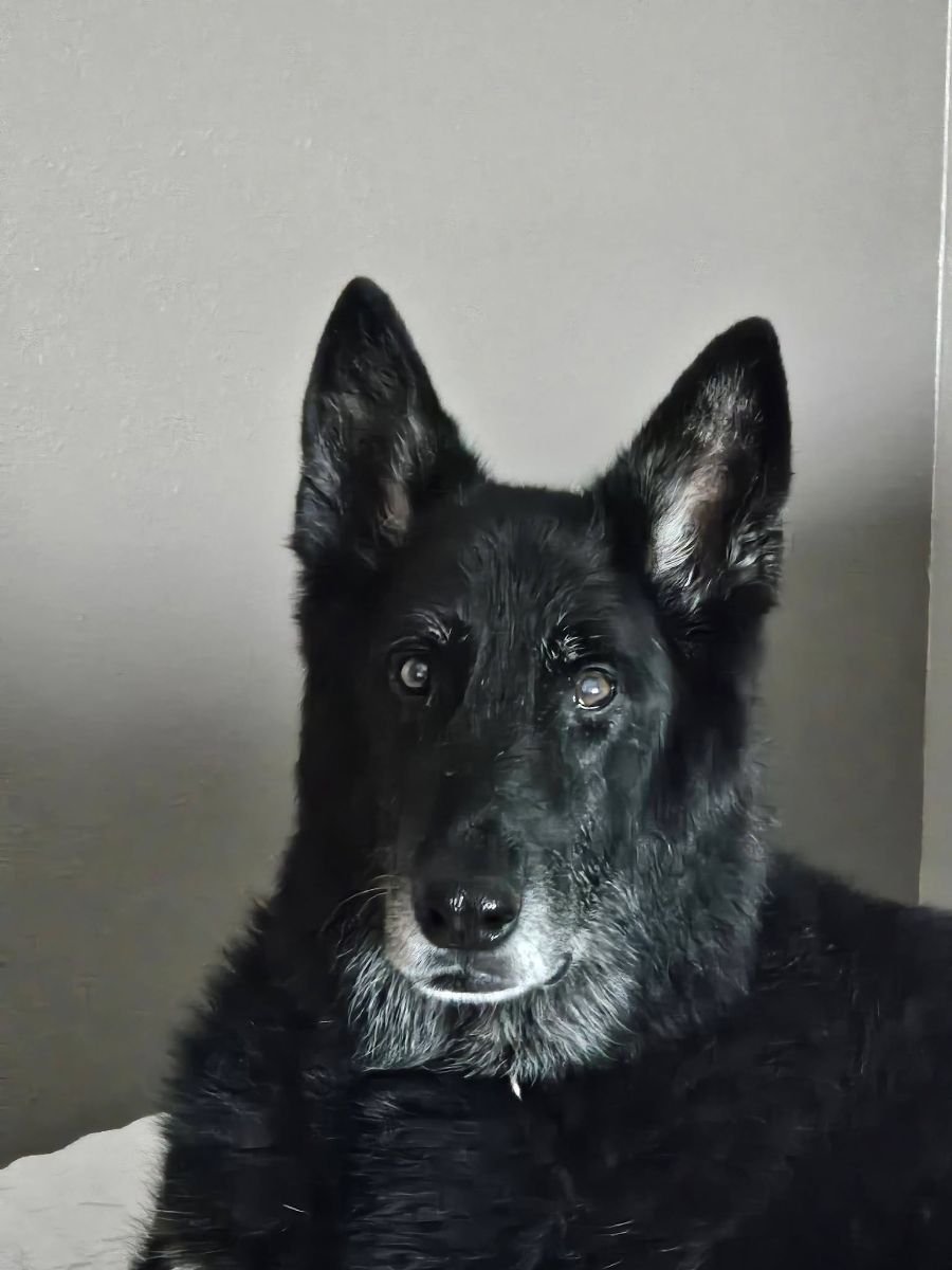Leika
