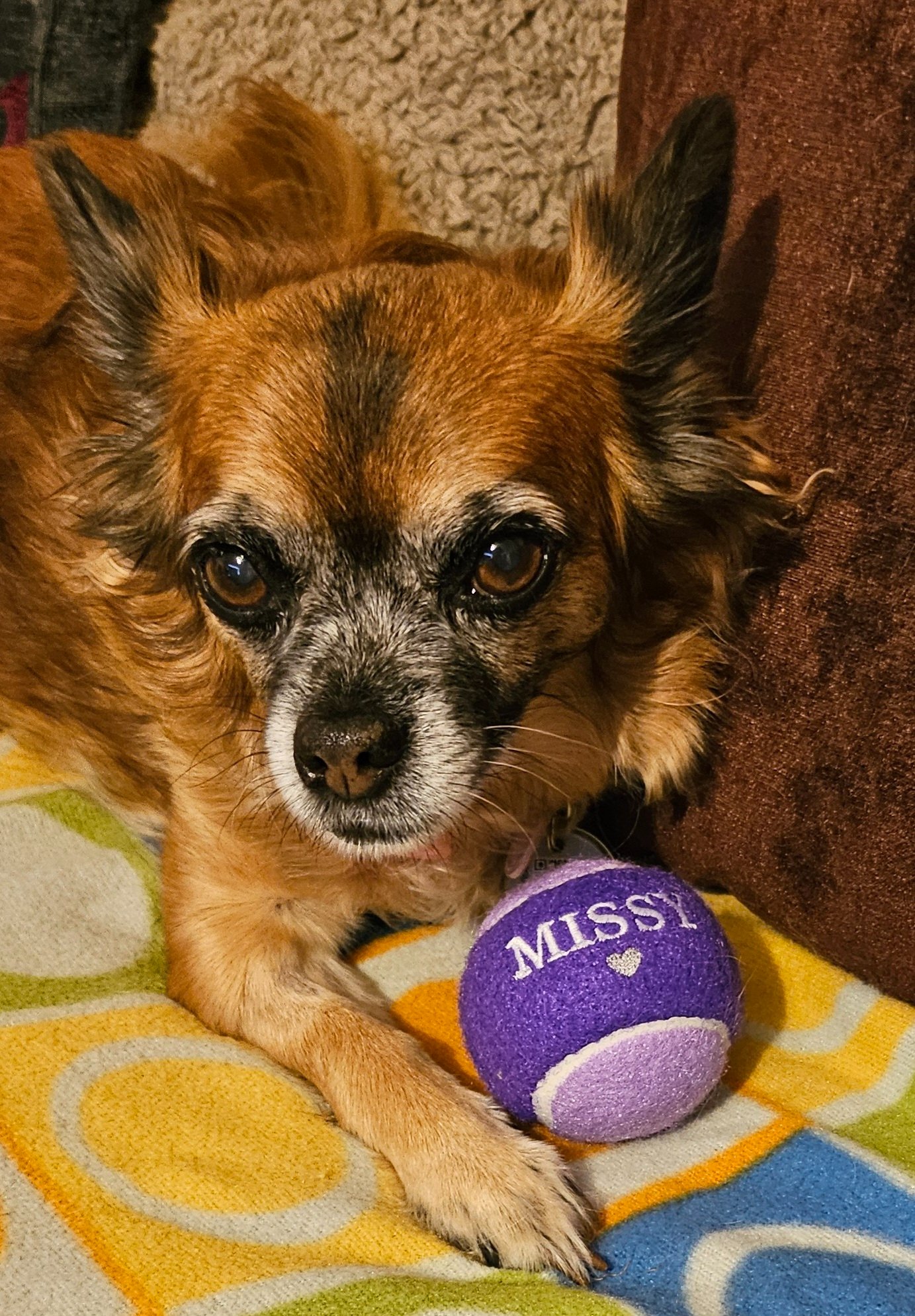 Missy