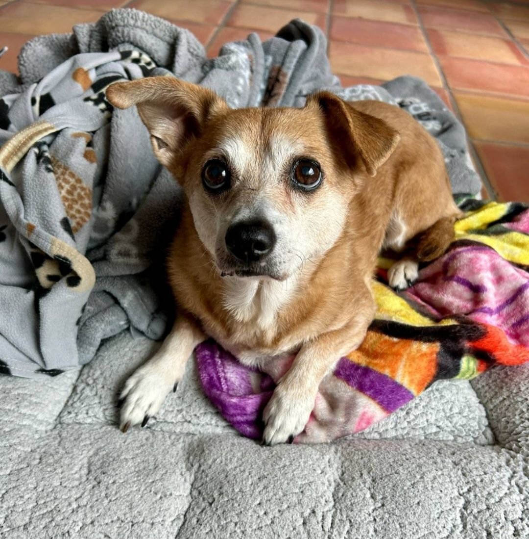 Charlie