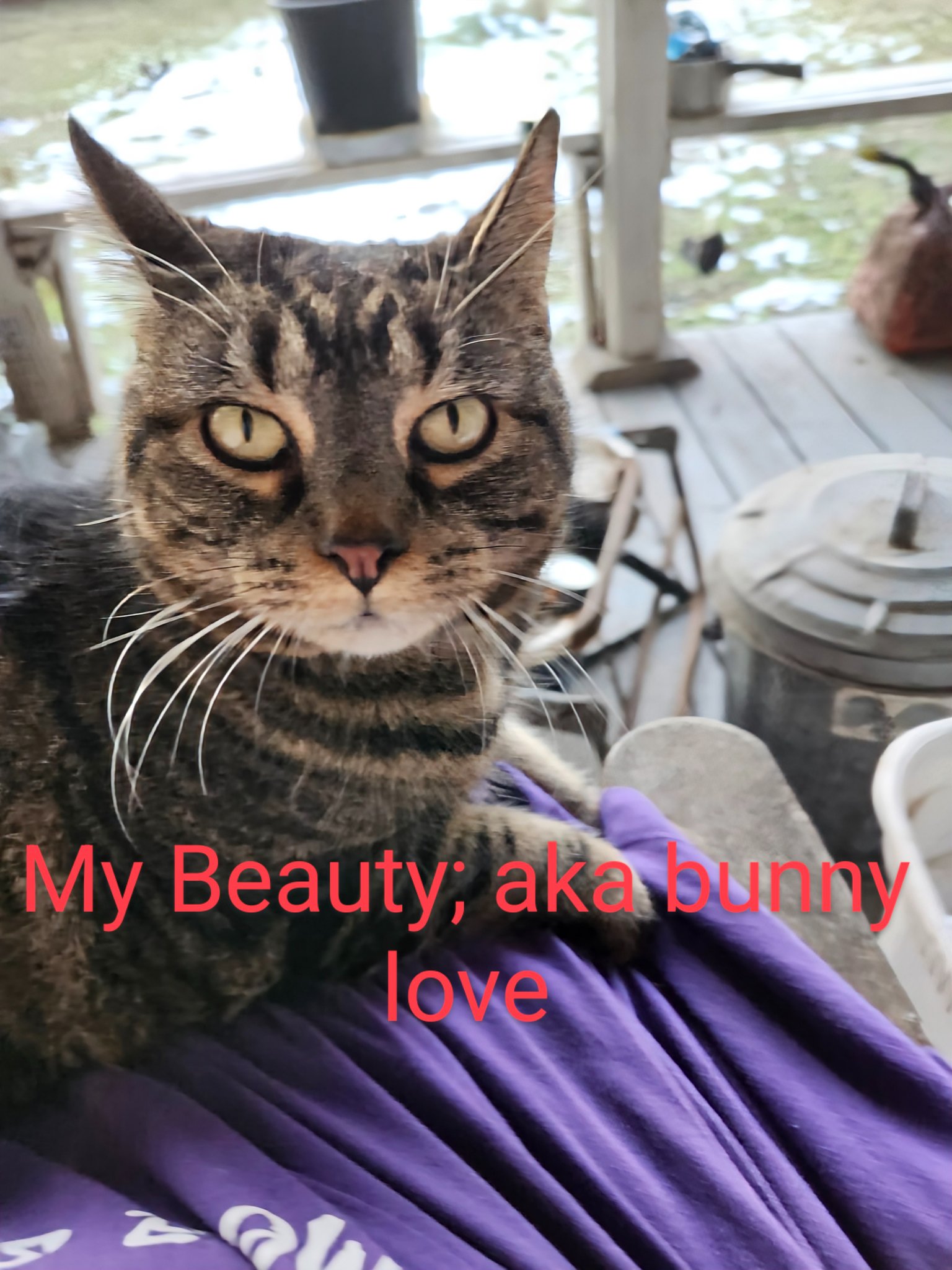 Beauty