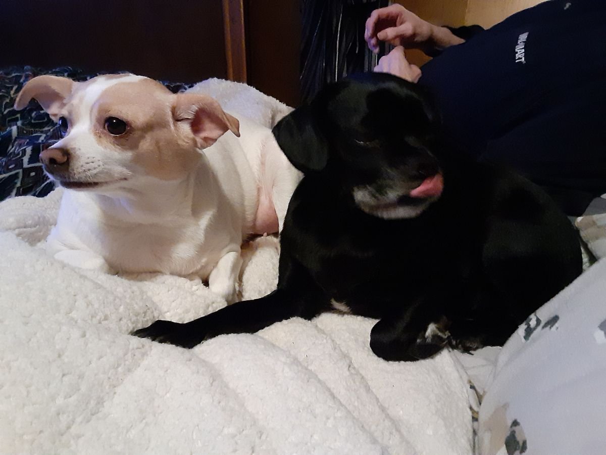 Stormy and Chloe