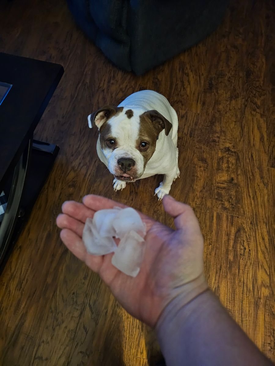 Lulu