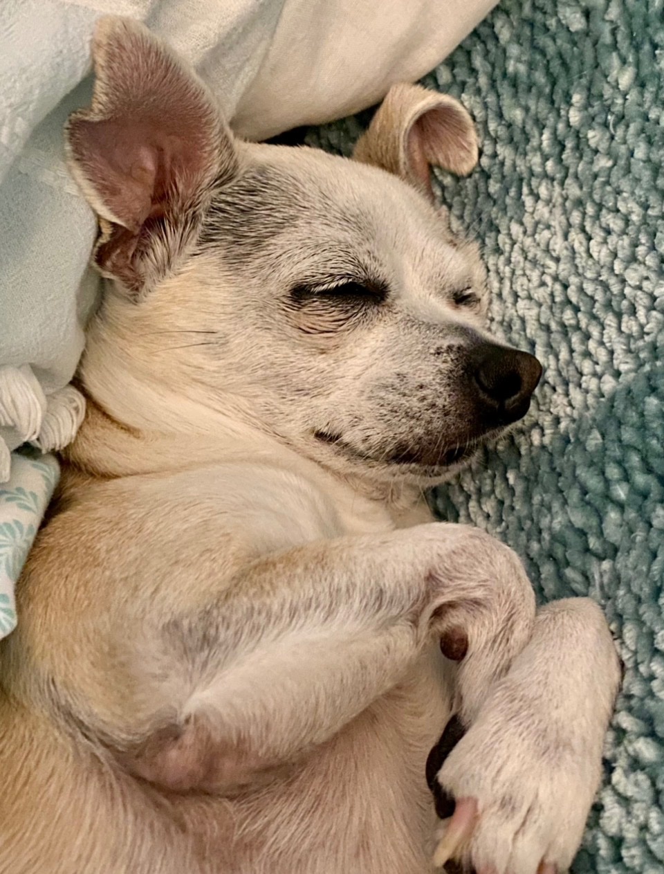 Chloe