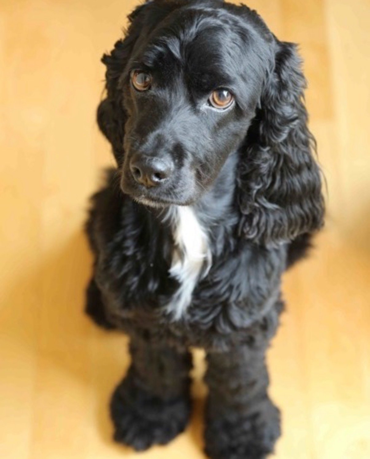 Zoe