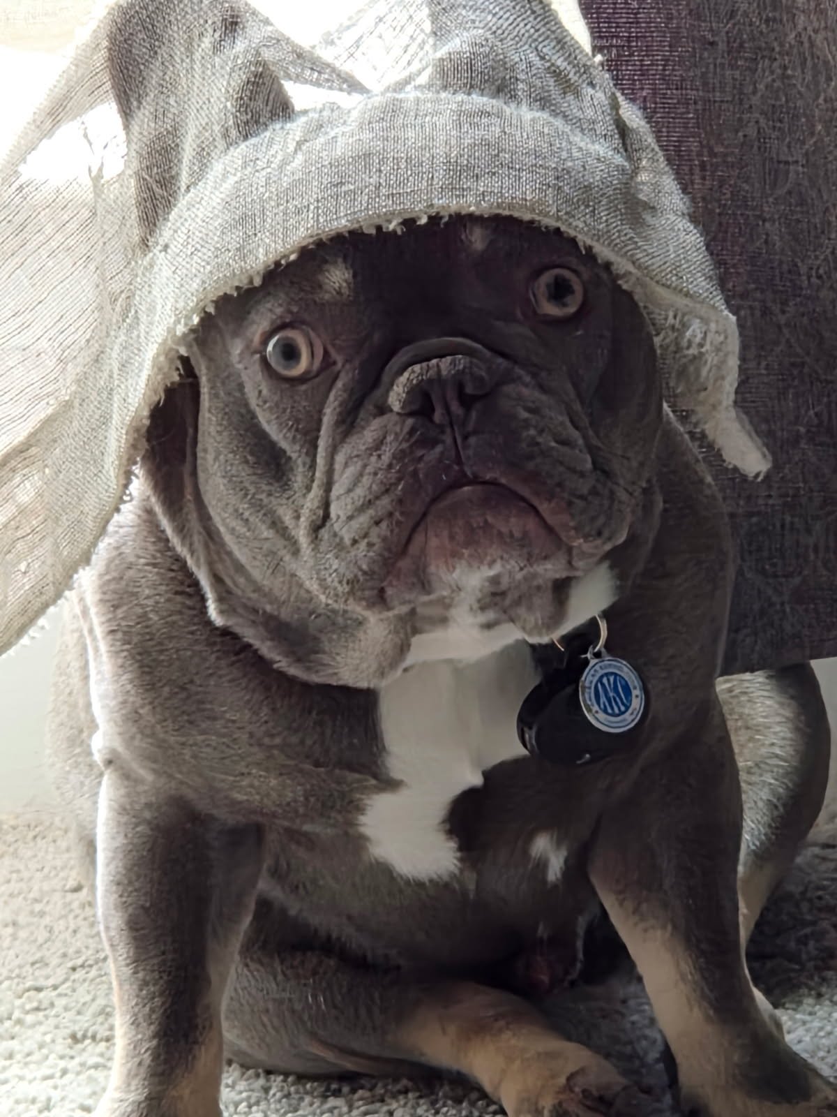Dexter