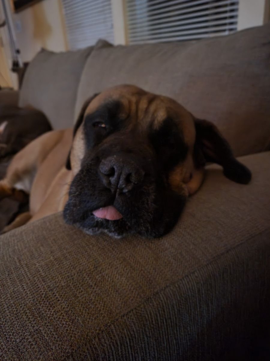 Lulu