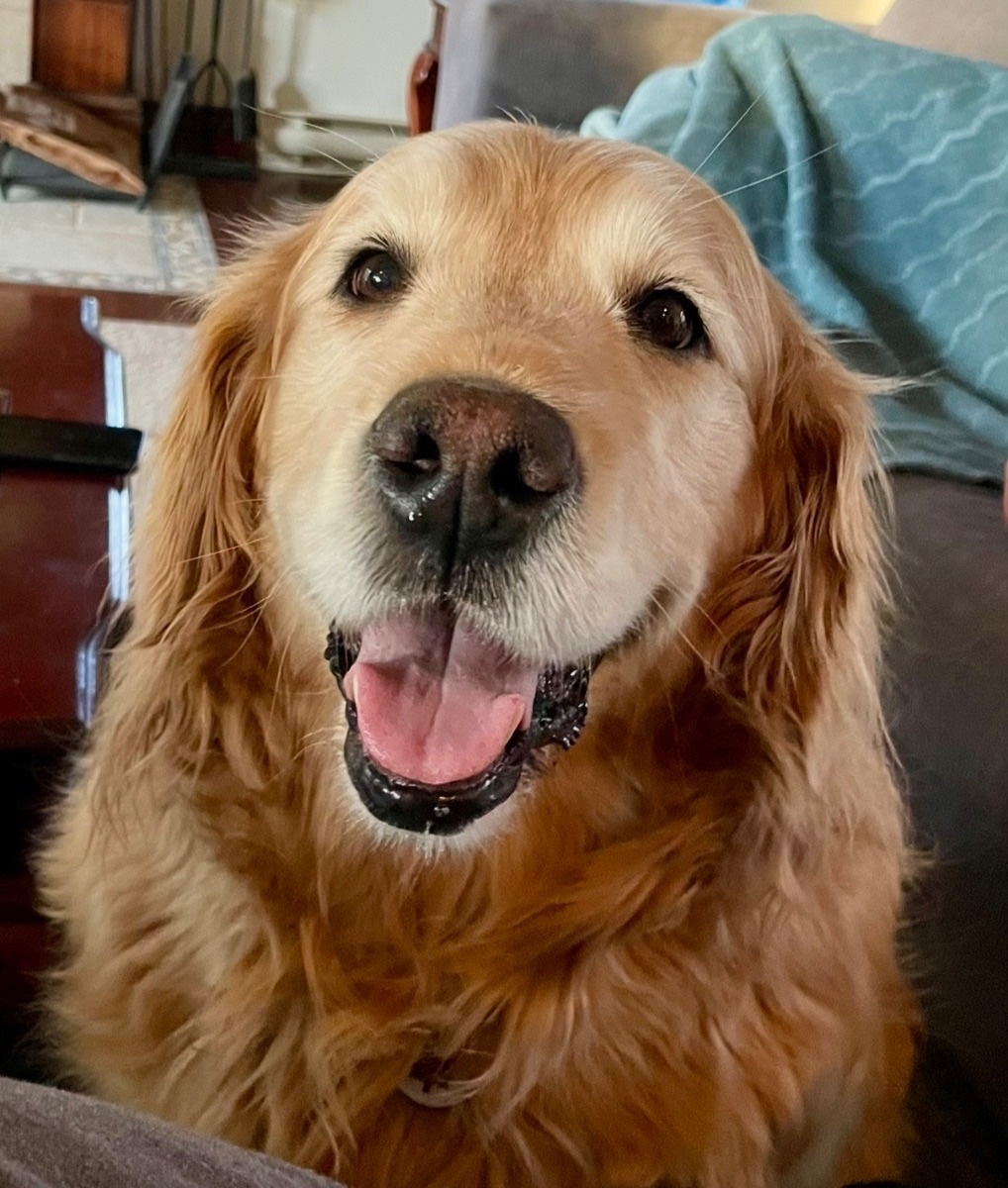 Zoe 