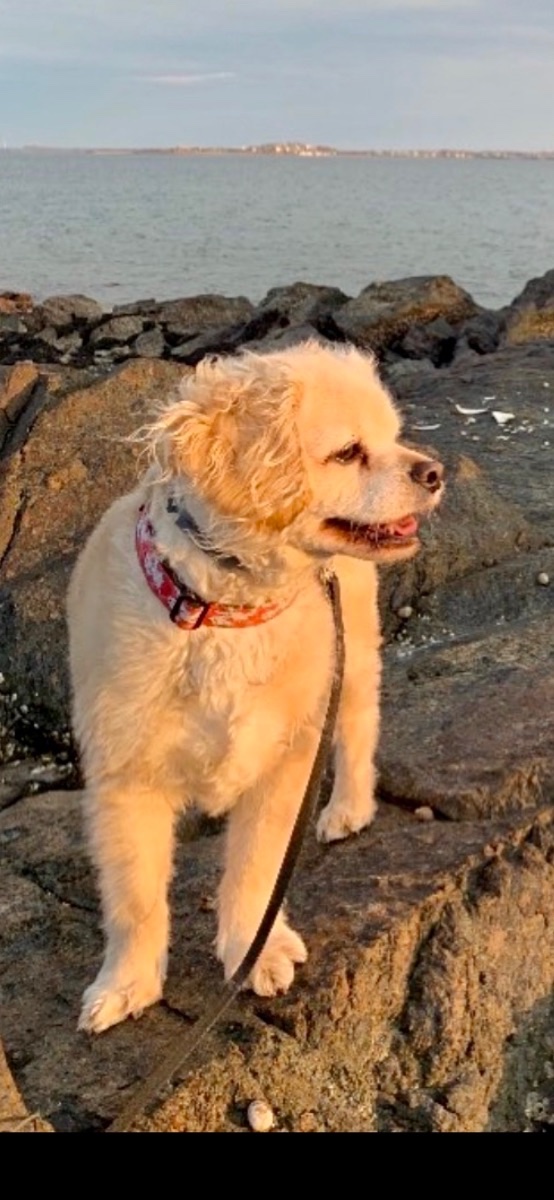 Buddy my little fella