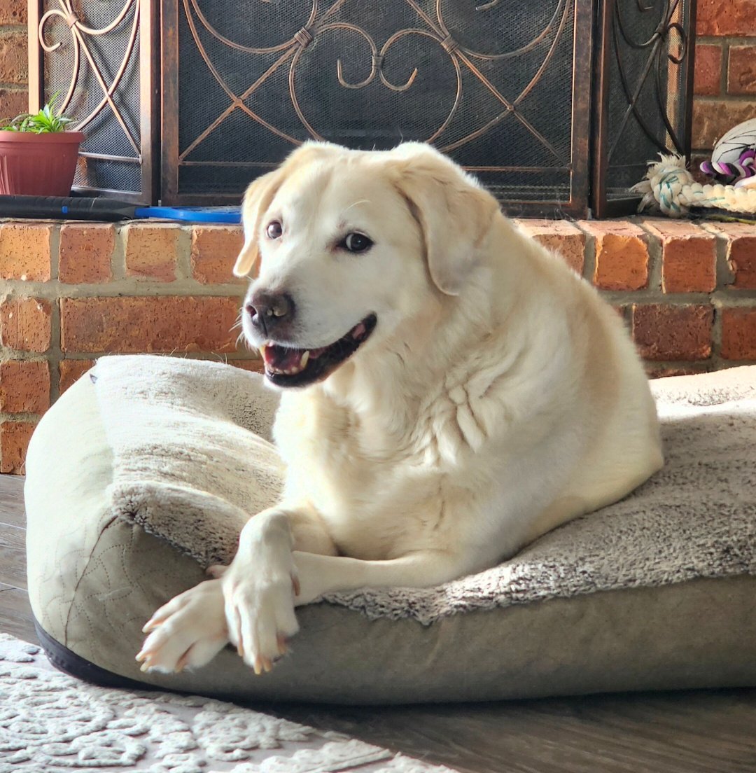 Tonka
