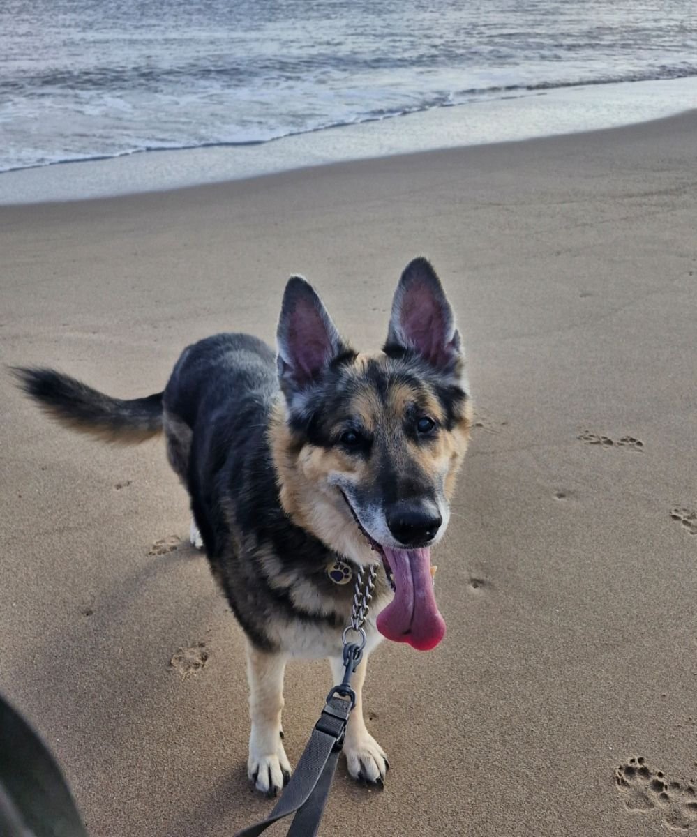 Duke