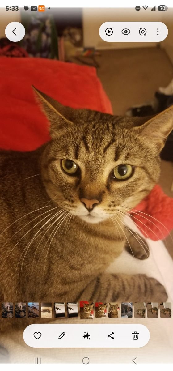 Max