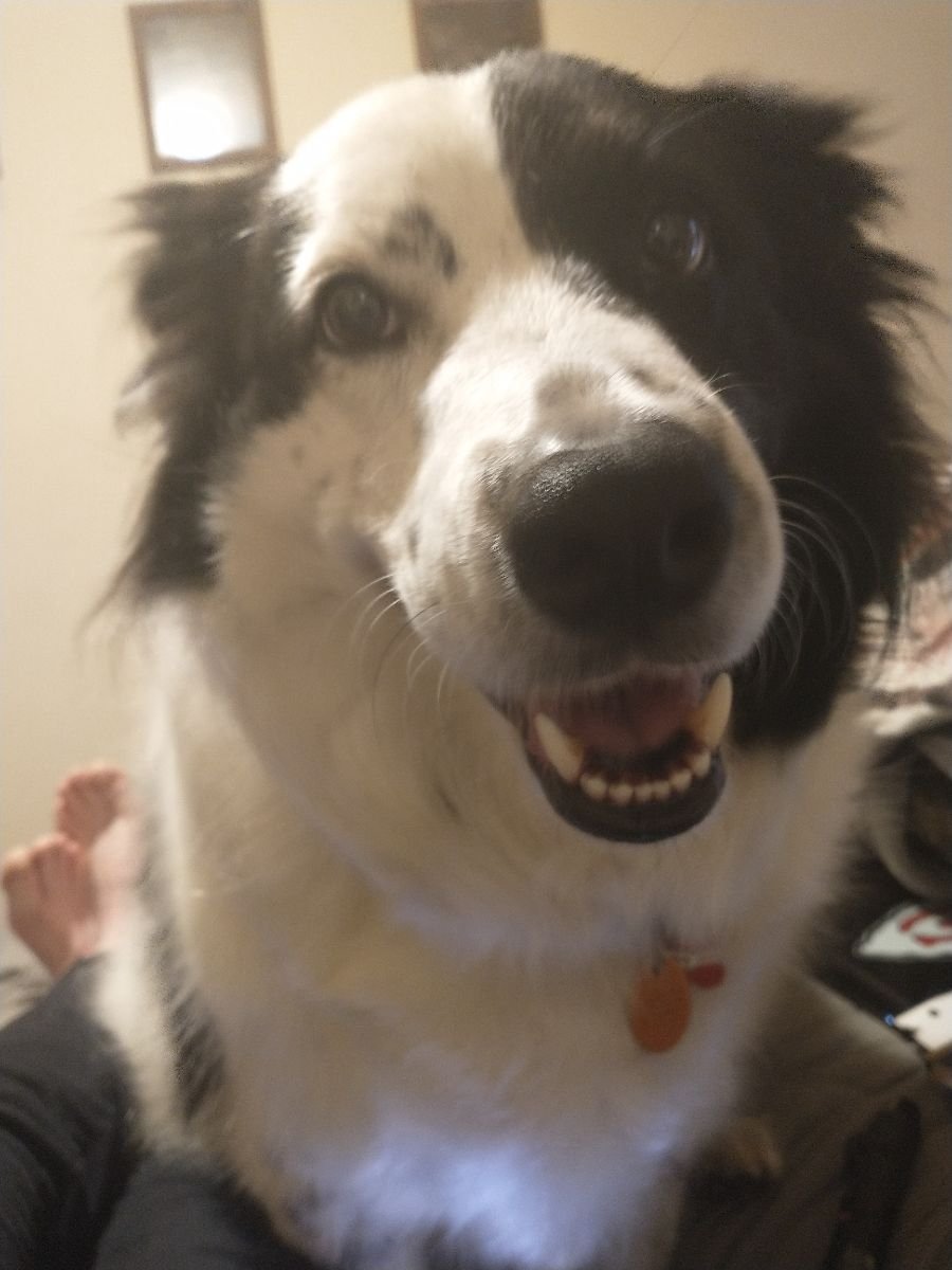 Flynn