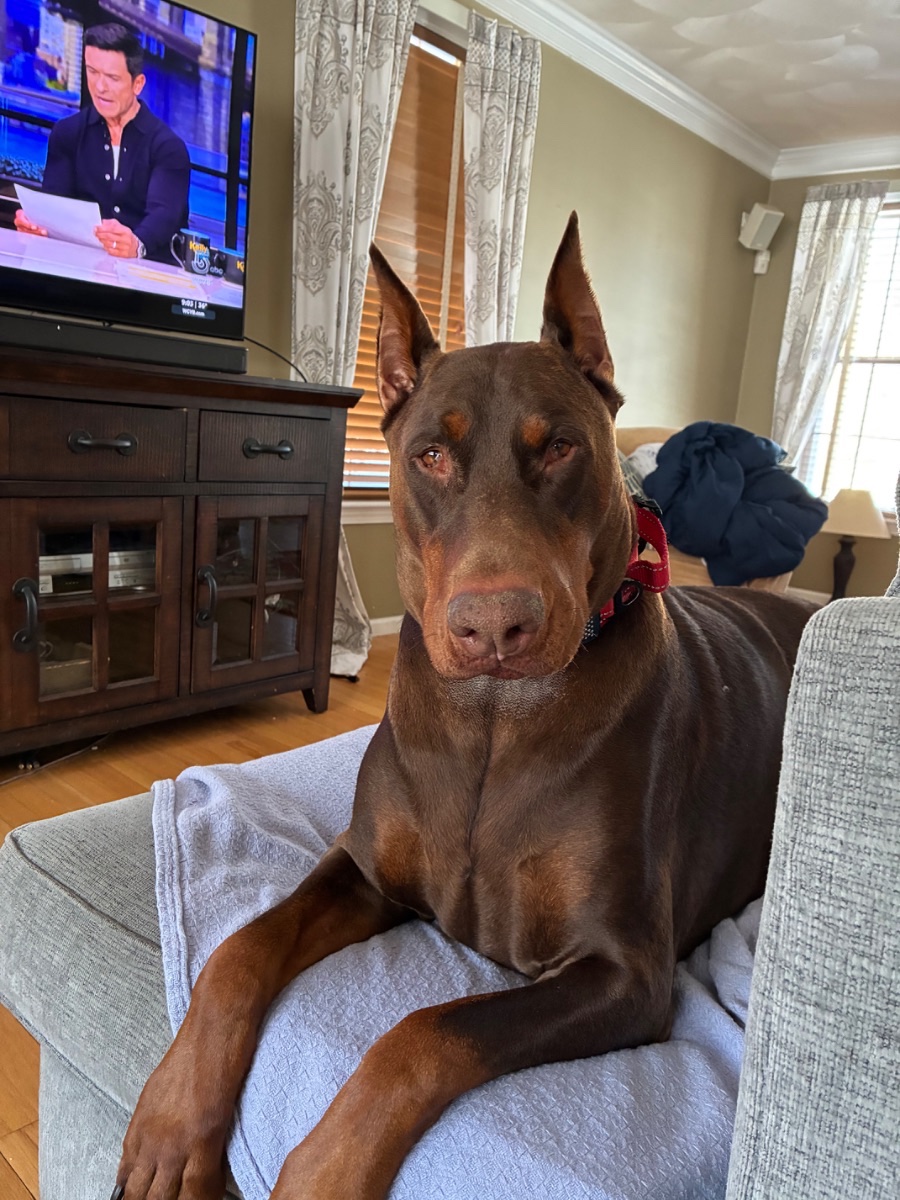 Zeus