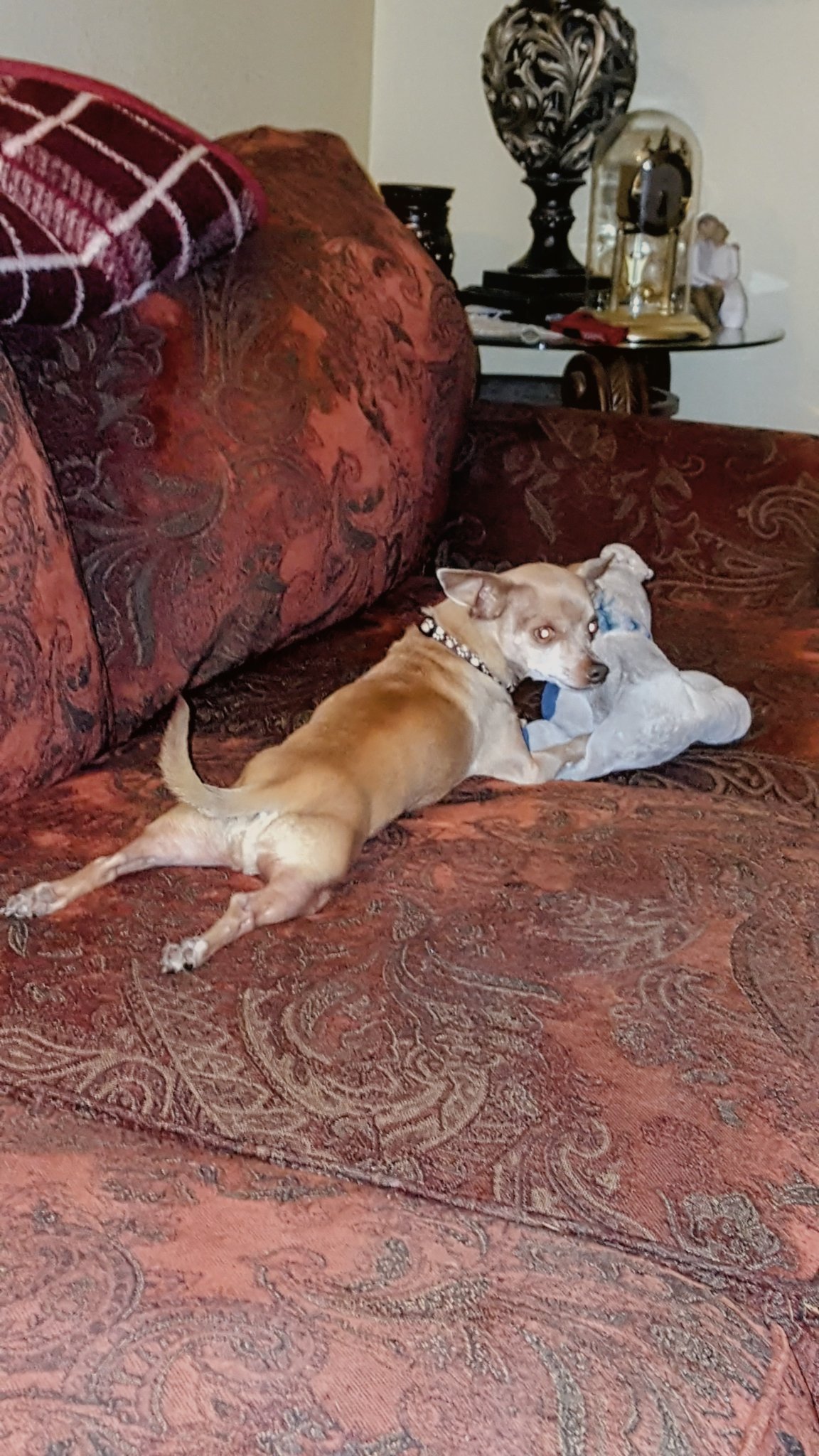 Yoda