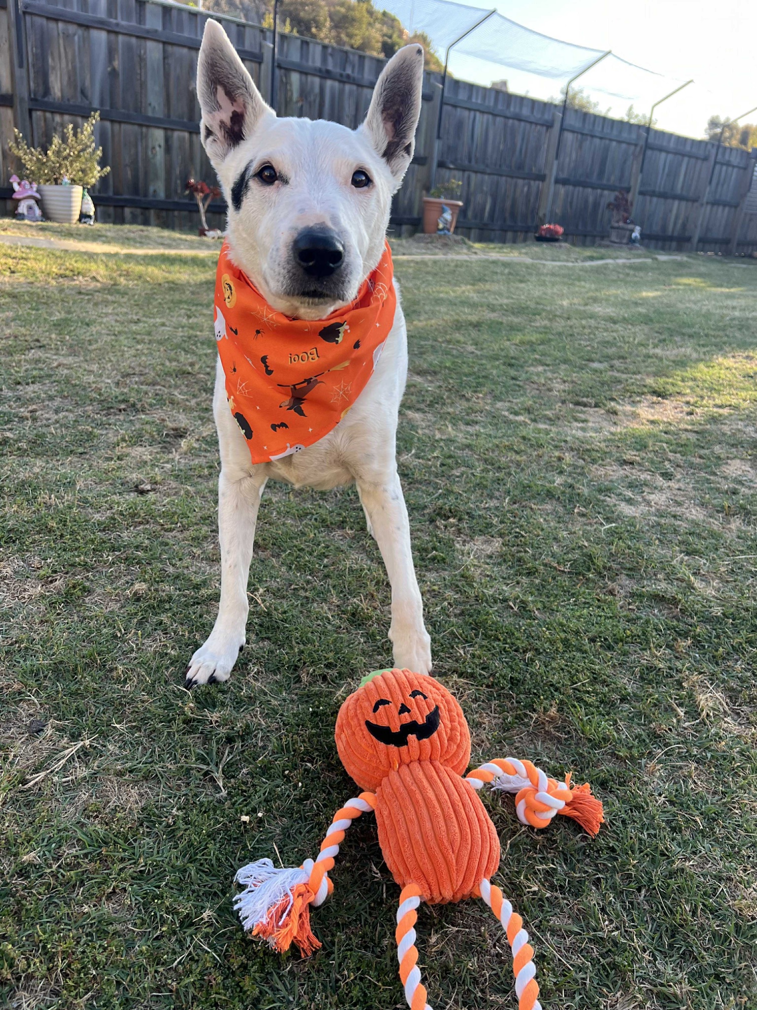 Max 