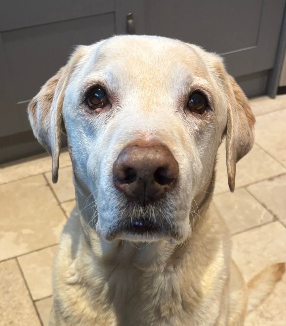 Duke