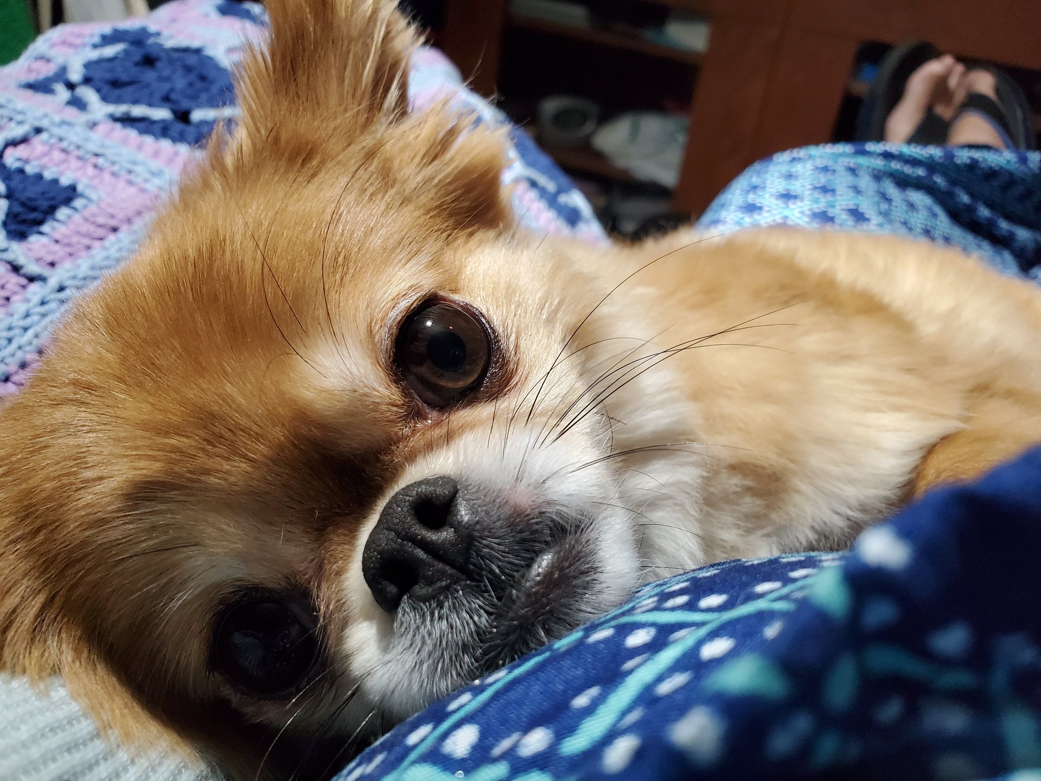 Mickey