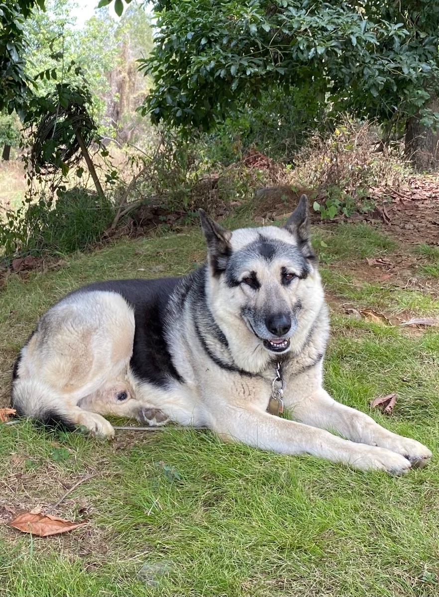 Hoku