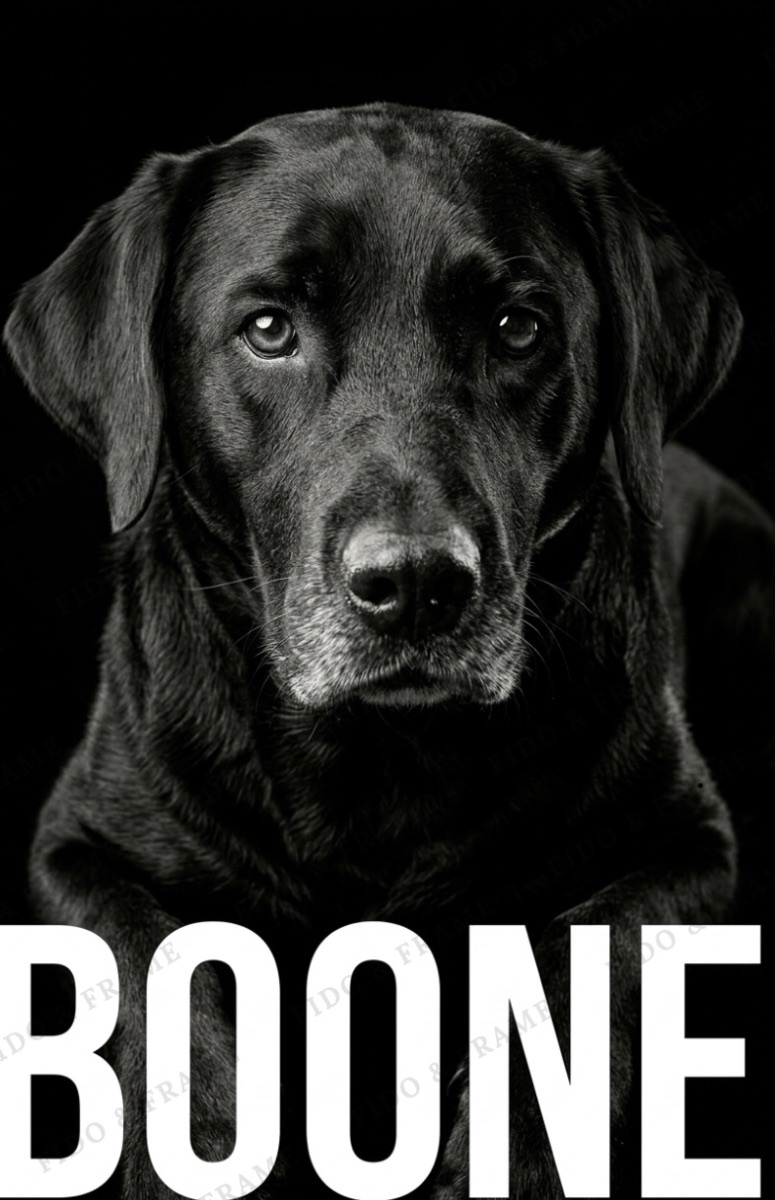 Boone