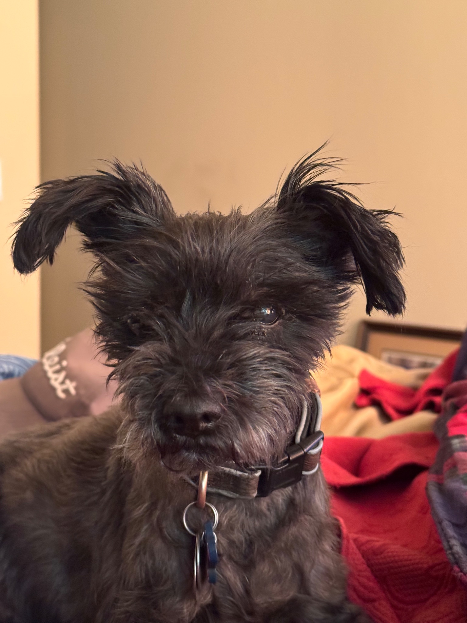 Zoe