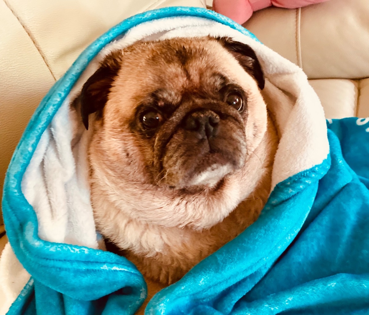 Yoda