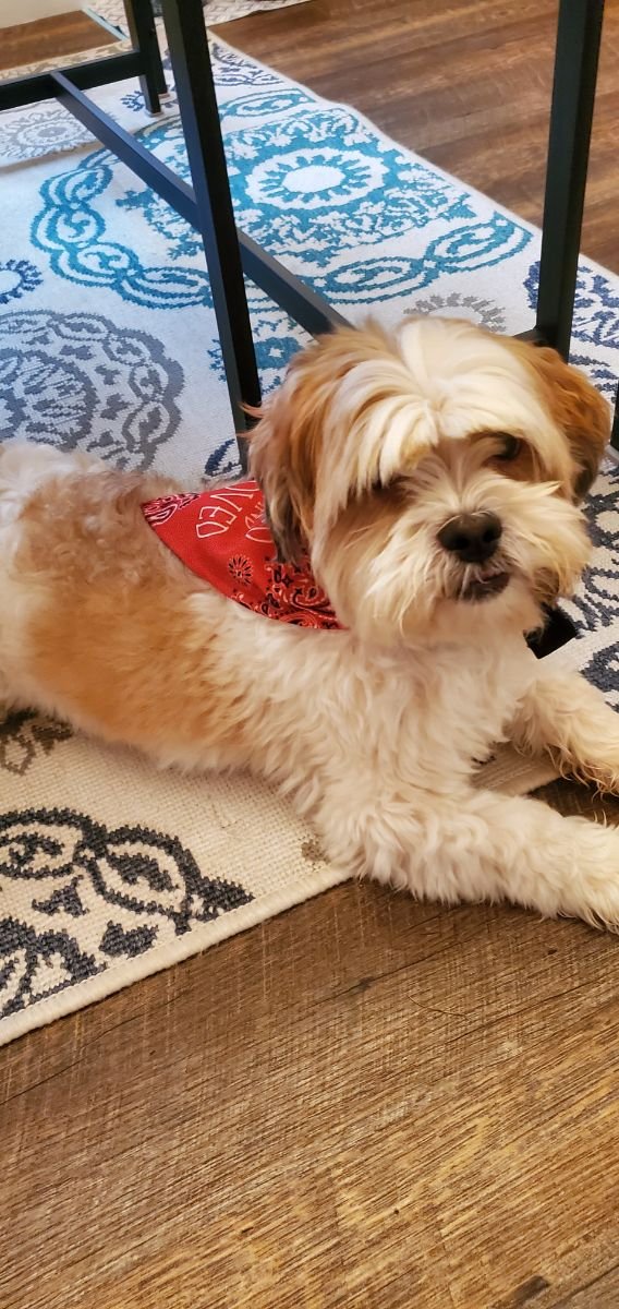 Benny