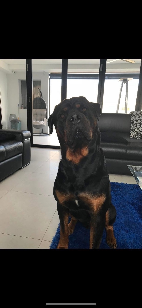 Zeus