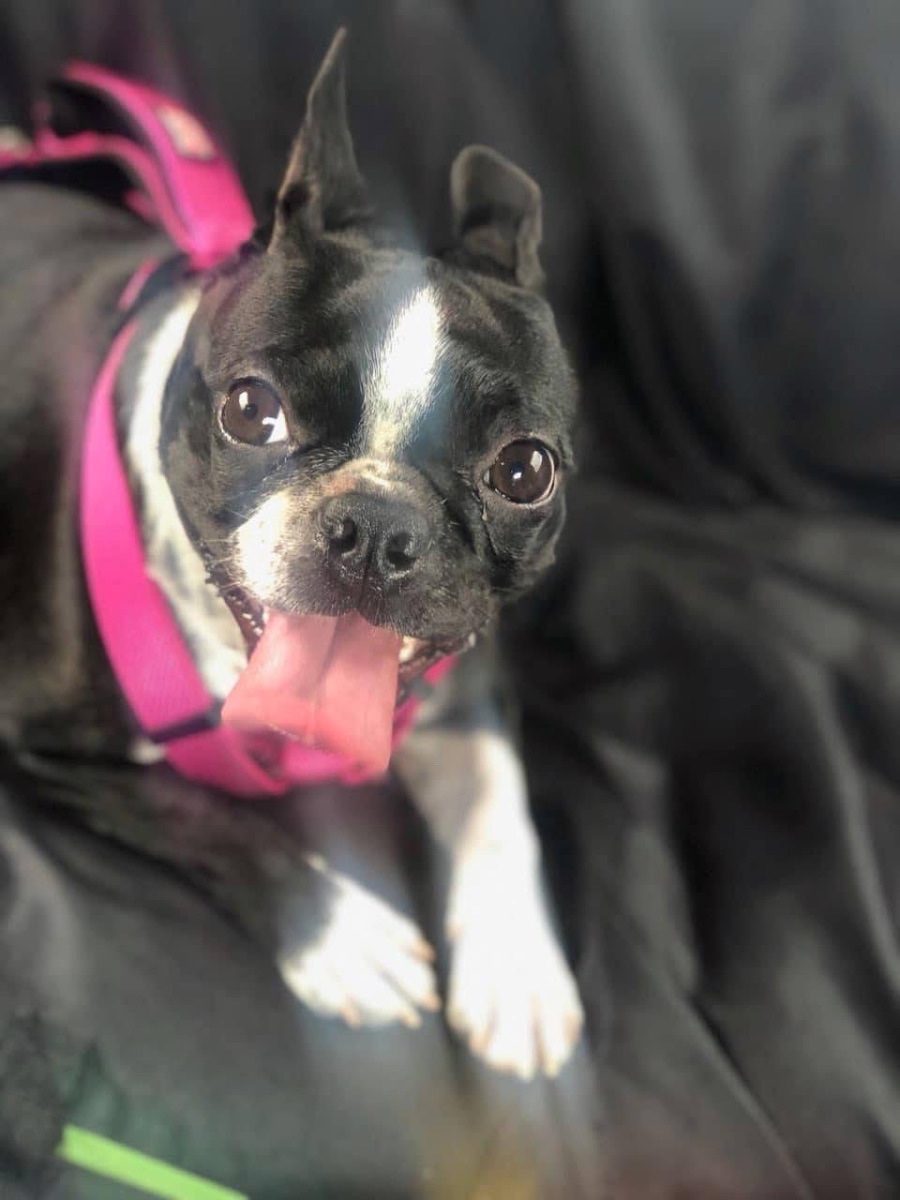 Mia